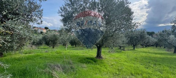Terreno de 1 divisão em Gualdo Cattaneo, Italy N.º 7074 41