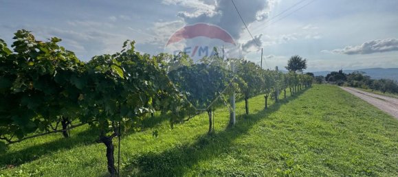 Terreno de 1 divisão em Gualdo Cattaneo, Italy N.º 7074 13