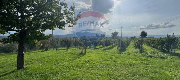 Terreno de 1 divisão em Gualdo Cattaneo, Italy N.º 7074 32