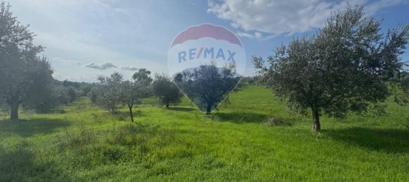Terreno de 1 divisão em Gualdo Cattaneo, Italy N.º 7074 25