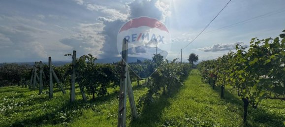 Terreno de 1 divisão em Gualdo Cattaneo, Italy N.º 7074 29