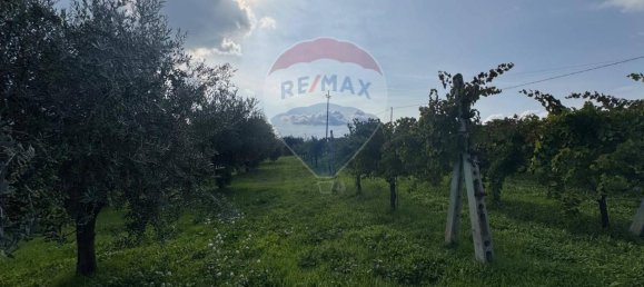 Terreno de 1 divisão em Gualdo Cattaneo, Italy N.º 7074 42