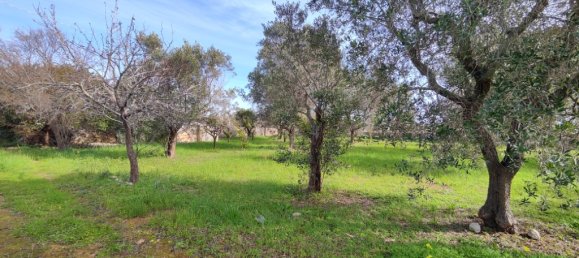 2 chambres Villa à Salve, Italy No. 59691 11