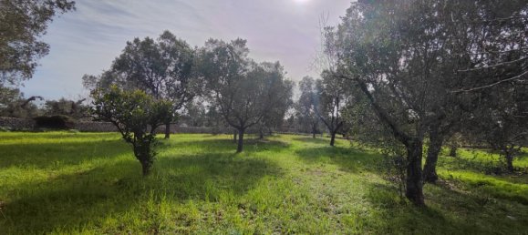 2 chambres Villa à Salve, Italy No. 59691 8