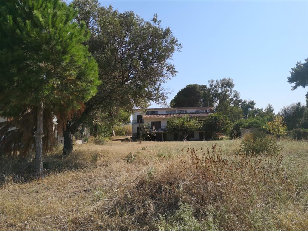 3 bedrooms Property for sale in Chalkidiki, Central Macedonia, Macedonia and Thrace, Greece № 4627