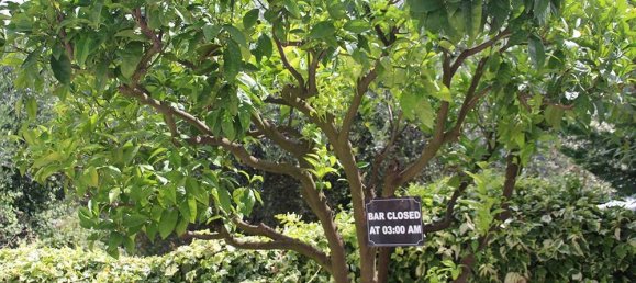 Вилла с 9 спальнями в Кампороссо, Италия № 230203 17