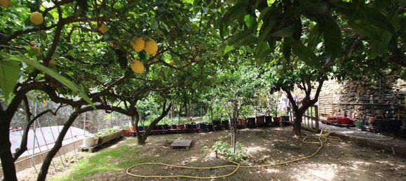 Вилла с 9 спальнями в Кампороссо, Италия № 230203 26