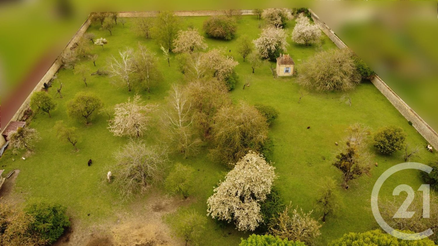 Terreno en Sezanne, France No. 89695