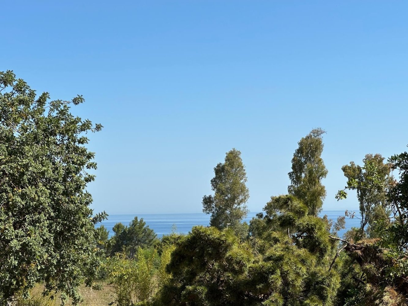 6 غرف نوم فيلا في Marbella, Spain رقم 146650