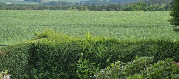 Grundstück in Vogtlandkreis, Germany, Nr. 248188 6