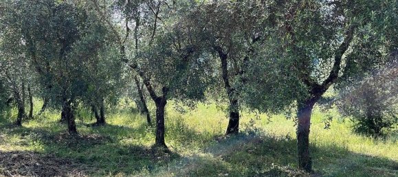Casa de 6 divisões em Rignano sull'Arno, Italy N.º 175701 16