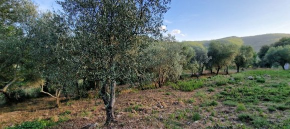 Casa de 6 divisões em Rignano sull'Arno, Italy N.º 175701 35