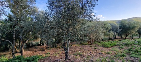 Casa de 6 divisões em Rignano sull'Arno, Italy N.º 175701 36