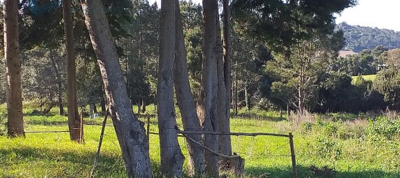 Дом с 6 спальнями в Обидуш, Португалия № 64974 50