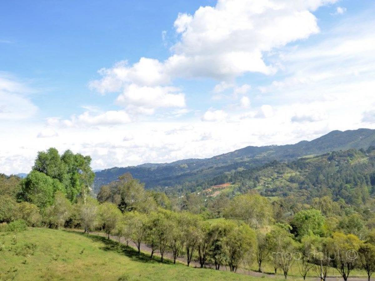 Земельный участок в Антьокия, Колумбия № 759