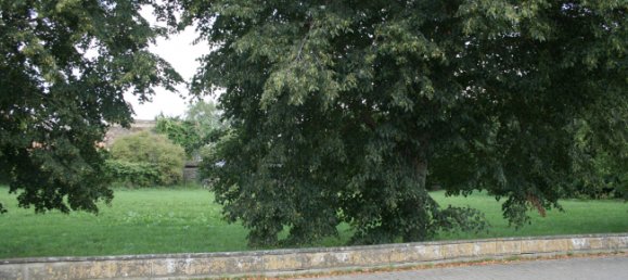 Terreno en Baden-Wurttemberg, Germany No. 40000 3