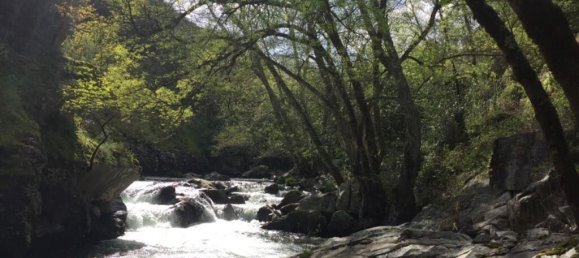 6 غرف نوم منزل في Pedrogao Grande, Portugal رقم 140851 26