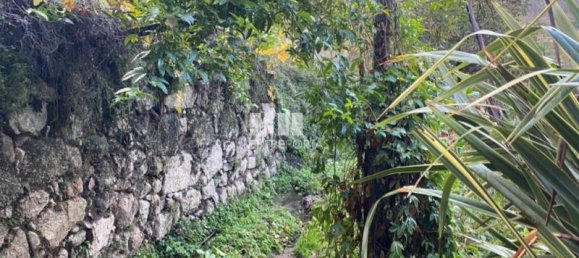 Grundstück in Marco de Canaveses, Portugal 6300m², Nr. 49730 4