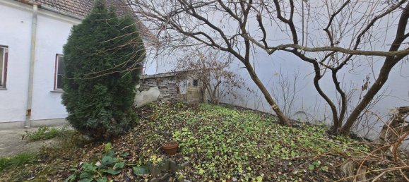 Дом с 6 комнатами в Гензерндорф, Австрия № 247693 33