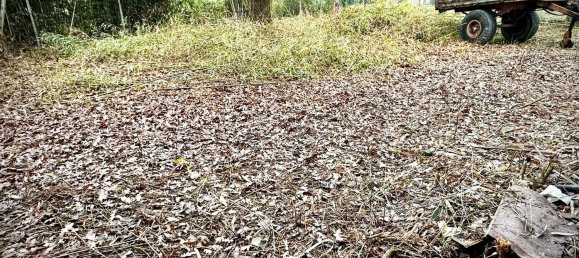 3غرفة منزل في Mortara, Italy رقم 9115 42