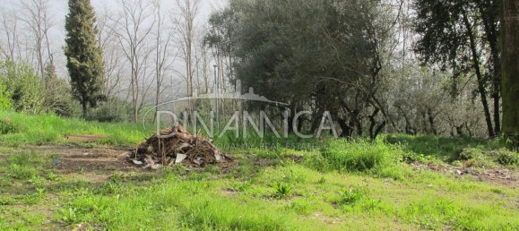 9-salle Villa à Santa Maria a Monte, Italy No. 224583 32