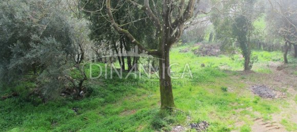 9-salle Villa à Santa Maria a Monte, Italy No. 224583 31