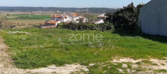  Land in Soure, Portugal No. 59490 3