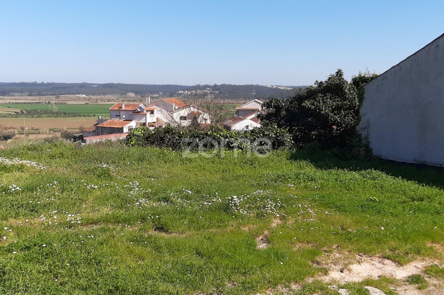  Land in Soure, Portugal No. 59490