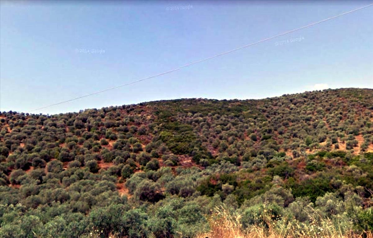 4765 m² hotel en venta en Chalkidiki, Central Macedonia, Macedonia and Thrace, Greece № 5632