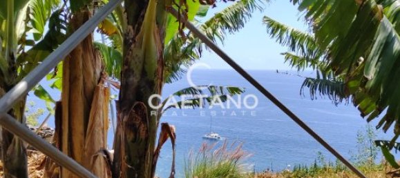 Land in Funchal, Portugal No. 145853 9