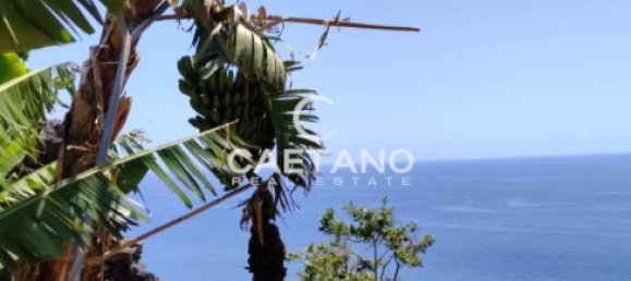 Land in Funchal, Portugal No. 145853 5