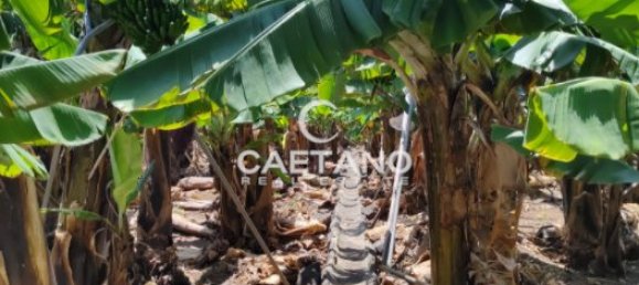 Land in Funchal, Portugal No. 145853 7