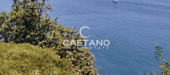 Land in Funchal, Portugal No. 145853 4