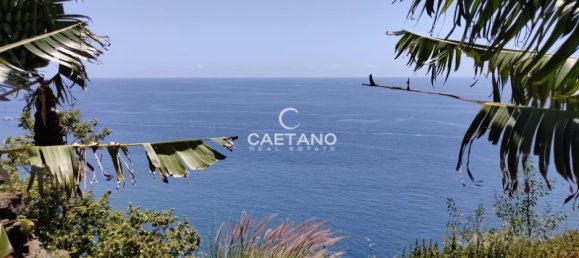 Land in Funchal, Portugal No. 145853 2