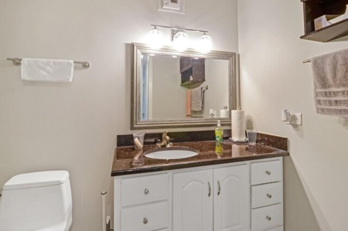 Studio in Chicago, USA No. 406619