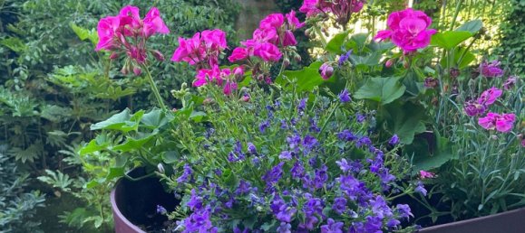 Apartamento T3 em Cusano Milanino, Italy N.º 338131 15