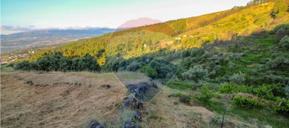  قطعة أرض في Covilha, Portugal 11650متر مربع رقم 67927 6