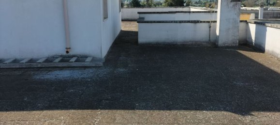 900m² Building in Aradeo, Italy No. 131228 11