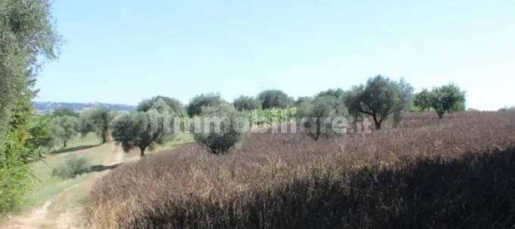 5 Schlafzimmer Wohnung in Massarosa, Italy, Nr. 271037 44