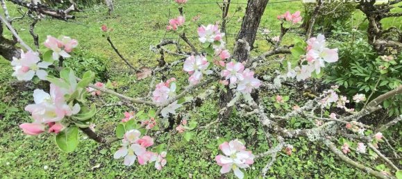  Land in Blois, France No. 69992 6