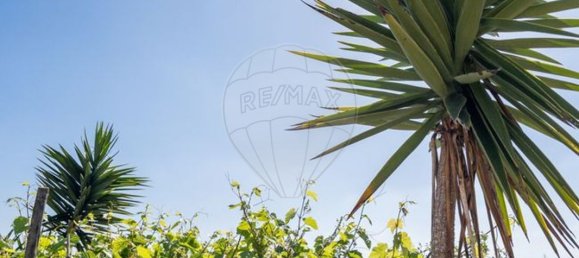 3 bedrooms Castles in Odemira, Portugal No. 43671 22