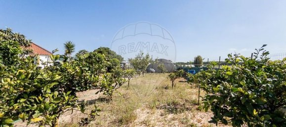 3 bedrooms Castles in Odemira, Portugal No. 43671 14