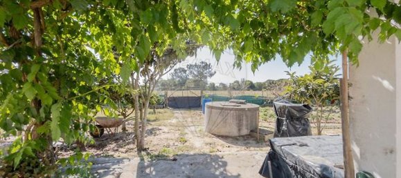 3 bedrooms Castles in Odemira, Portugal No. 43671 17