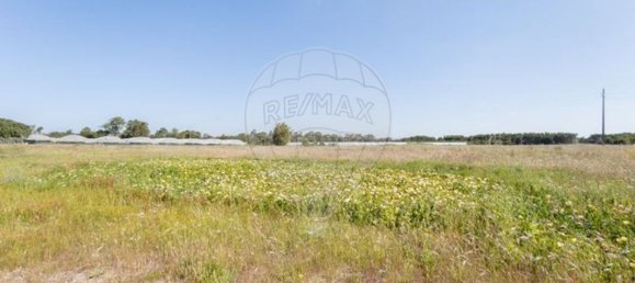 3 bedrooms Castles in Odemira, Portugal No. 43671 28