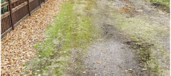 Terreno en Hanover, Germany No. 204968 9