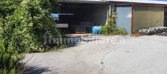 5-Zimmer Gewerbliche Immobilie in Rocca d'Evandro, Italy, Nr. 224429 11