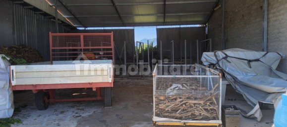 5-Zimmer Gewerbliche Immobilie in Rocca d'Evandro, Italy, Nr. 224429 12