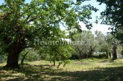 Villa T1 em Montescudo Monte Colombo, Italy N.º 208969