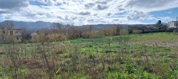 5060m² Land for sale in Corfu, Central Corfu and Diapontian Islands, Corfu, Ionian Islands, Peloponnese, Western Greece and the Ionian, Greece № 104872 14