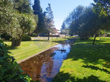 4 bedrooms House in Torres Novas, Portugal No. 14487